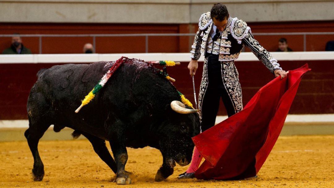 Toros