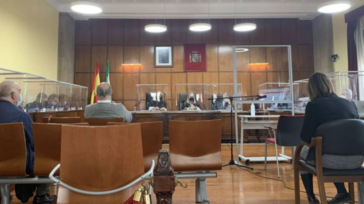 El Tribunal Supremo confirma la sentencia condenatoria contra un exconcejal del PP en Jaén y tres empresarios por el caso Matinsreg