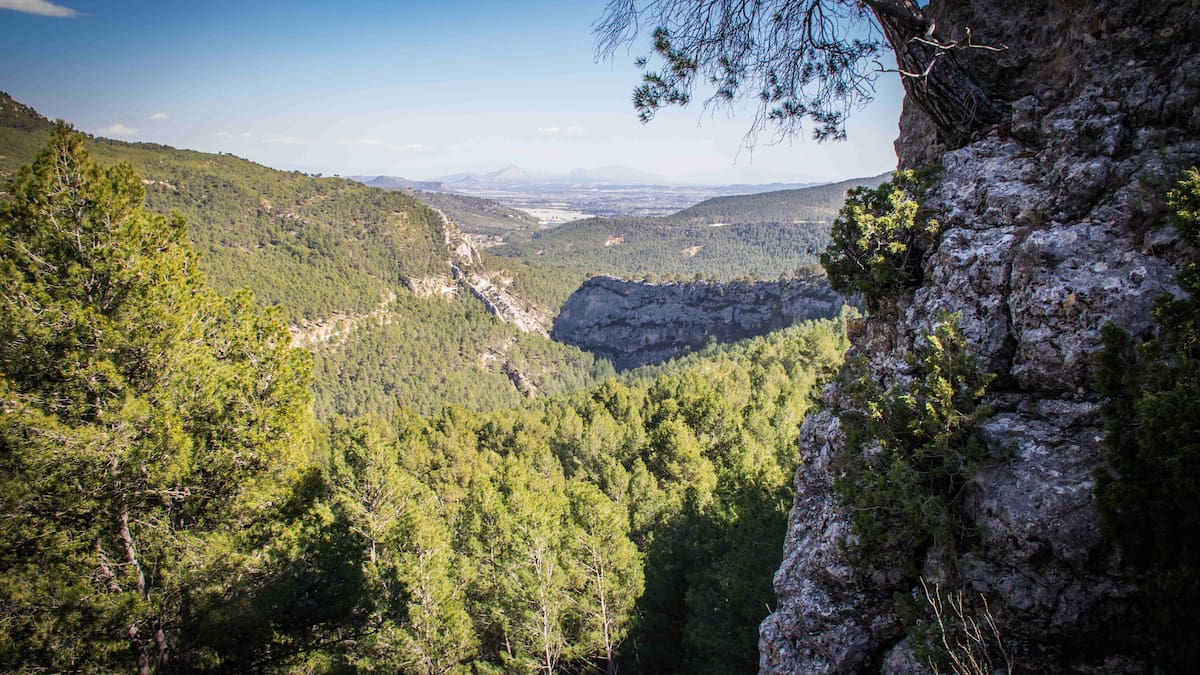 Restringido el acceso de vehículos al barranco de Hondares para proteger la reproducción del águila real