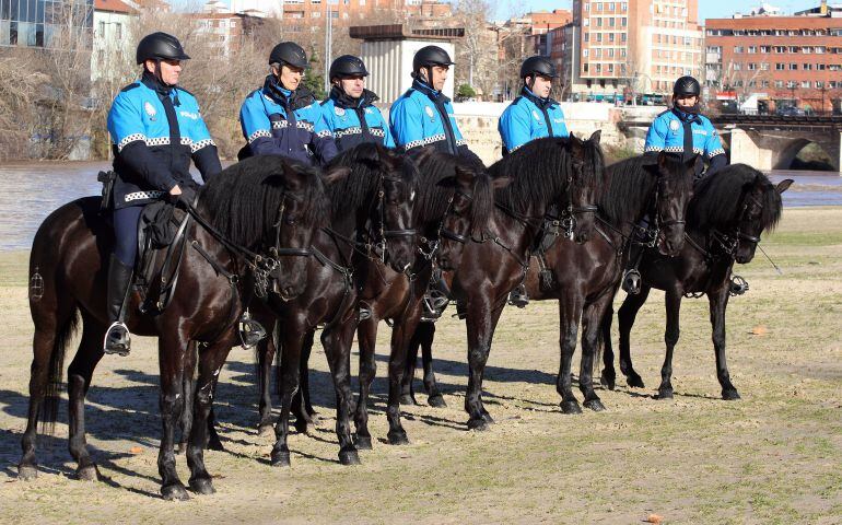 Presentación de la unidad a caballo de la Policía Local en marzo de 2013