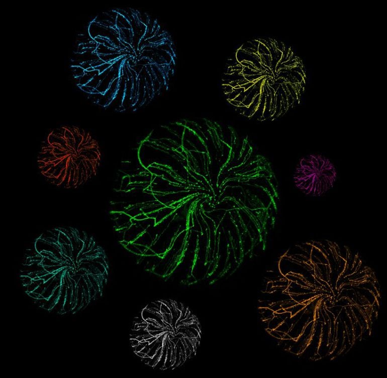 Concurso fotografía