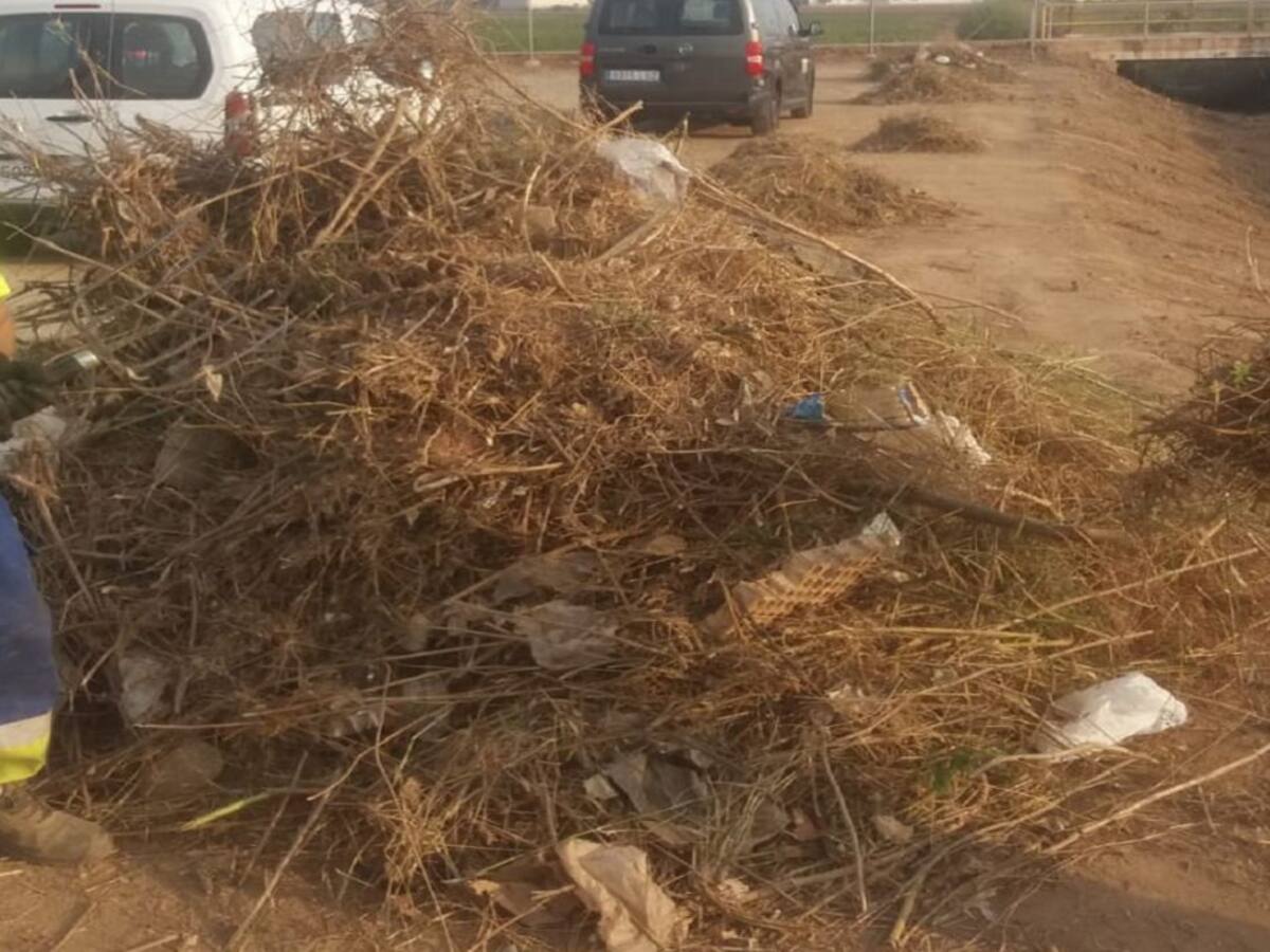 1.000 toneladas de maleza se retiran en el tramo urbano de la Rambla de Benipila