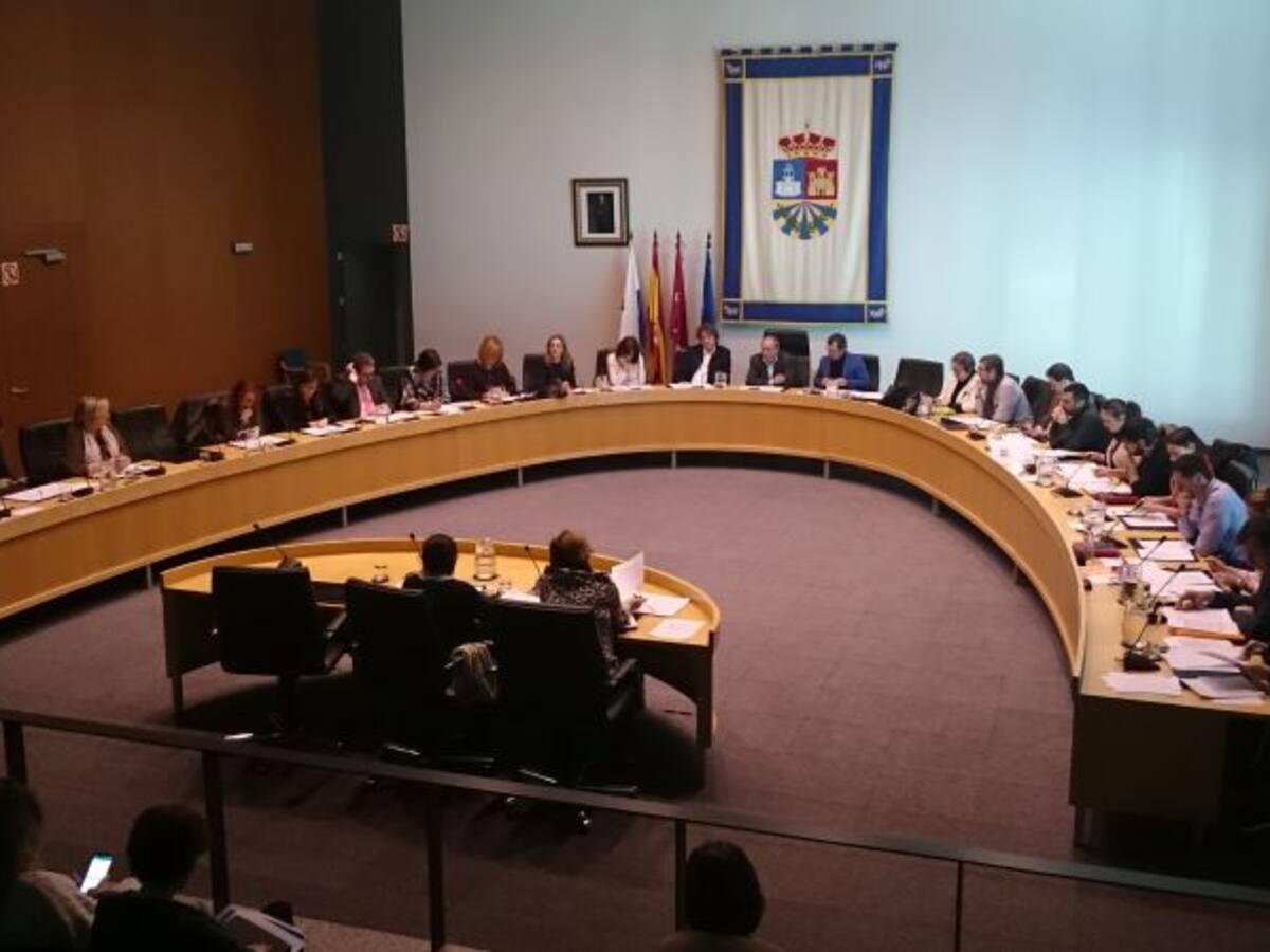 El pleno pide la apertura de la boca ciega de Metrosur del Vivero