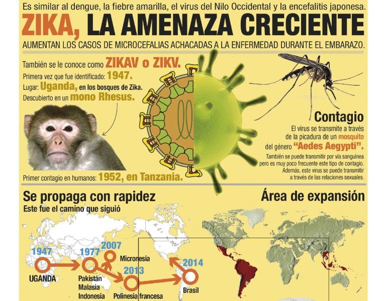 Detalle de la infografía de la Agencia EFE &quot;Zika, la amenaza creciente&quot;