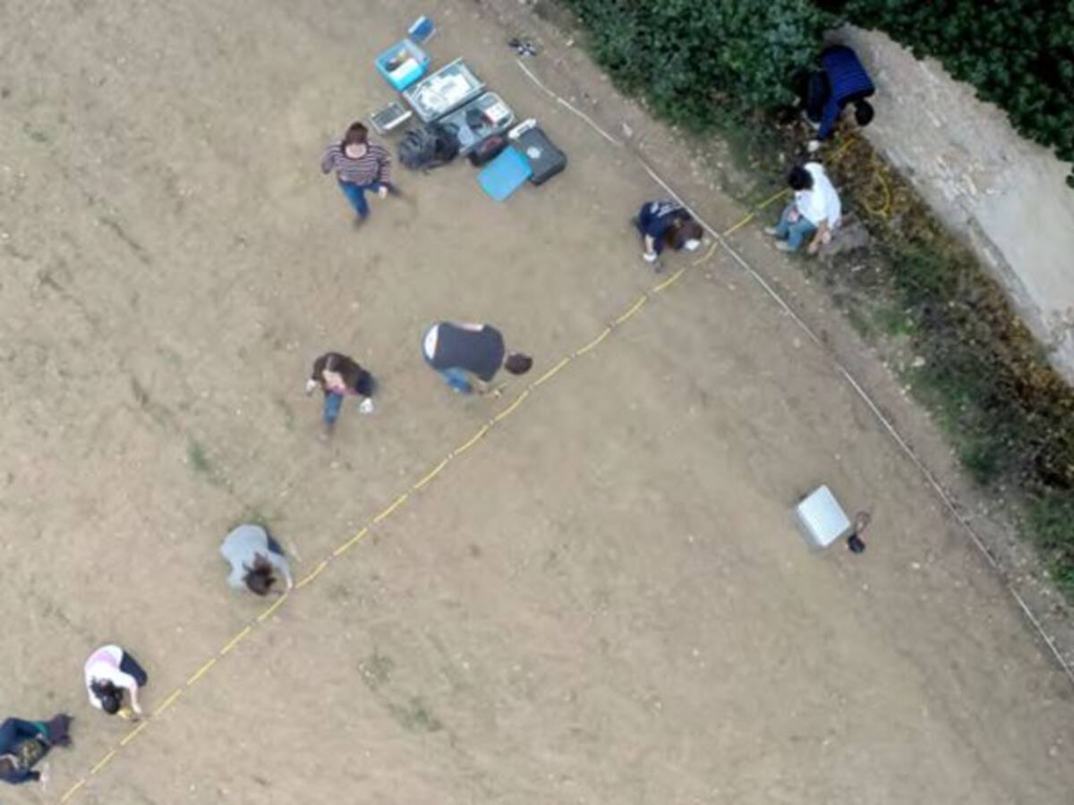 Descobert un gran fossar ibèric de més de 2.200 anys