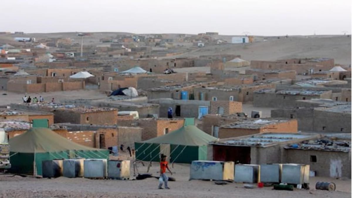 Todavía buscan familias de Baleares para acoger niños saharauis durante este verano