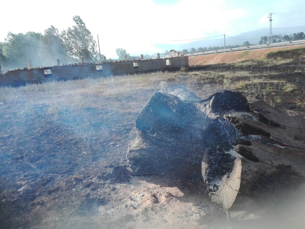 VÍDEO |El desolador paisaje tras la acción del fuego