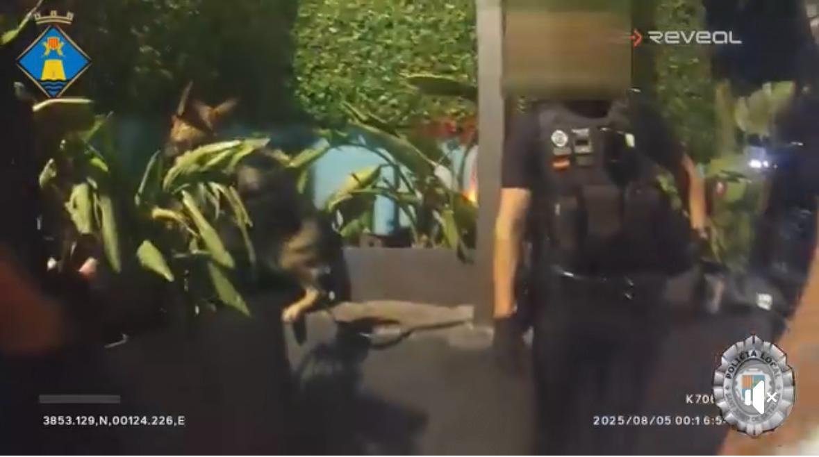 La perra adiestrada durante el dispositivo policial