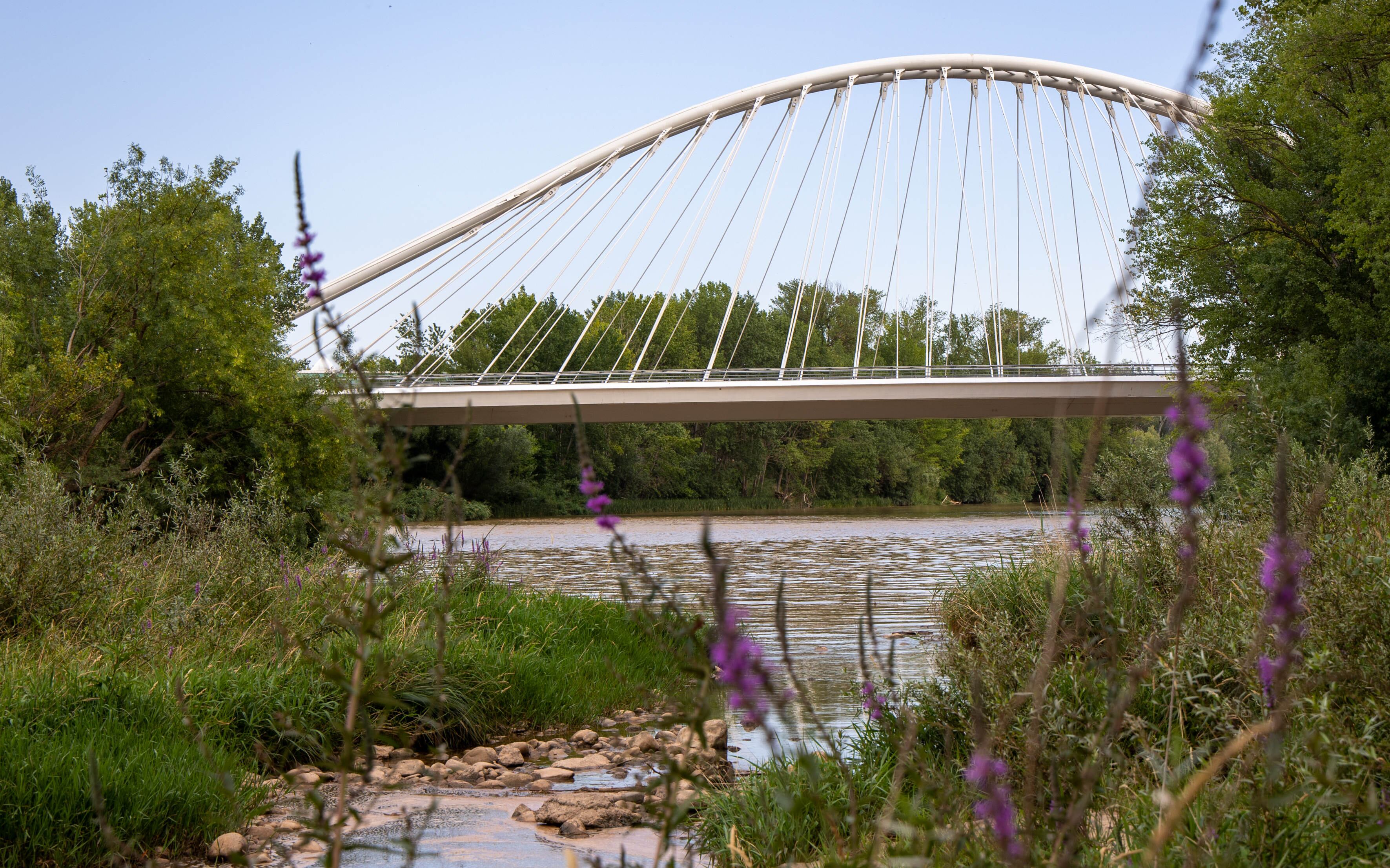 LOGROÑO (LA RIOJA) 08/07/2023.- Un hombre de 44 años, detenido este tarde en Logroño como presunto autor del asesinato de su mujer, presuntamente con un arma blanca, ha reconocido los hechos al ser interceptado por la Policía cuando intentaba ahogar a sus tres hijos menores de edad en el río Ebro, según los primeros datos. Fuentes de la investigación han declarado a EFE que la información provisional indica que personas que se encontraban en la zona conocida como La Isla, junto al cuarto puente sobre el Ebro, han avisado a la Policía Nacional al ver que un hombre se había tirado al río.-EFE/Raquel Manzanares
