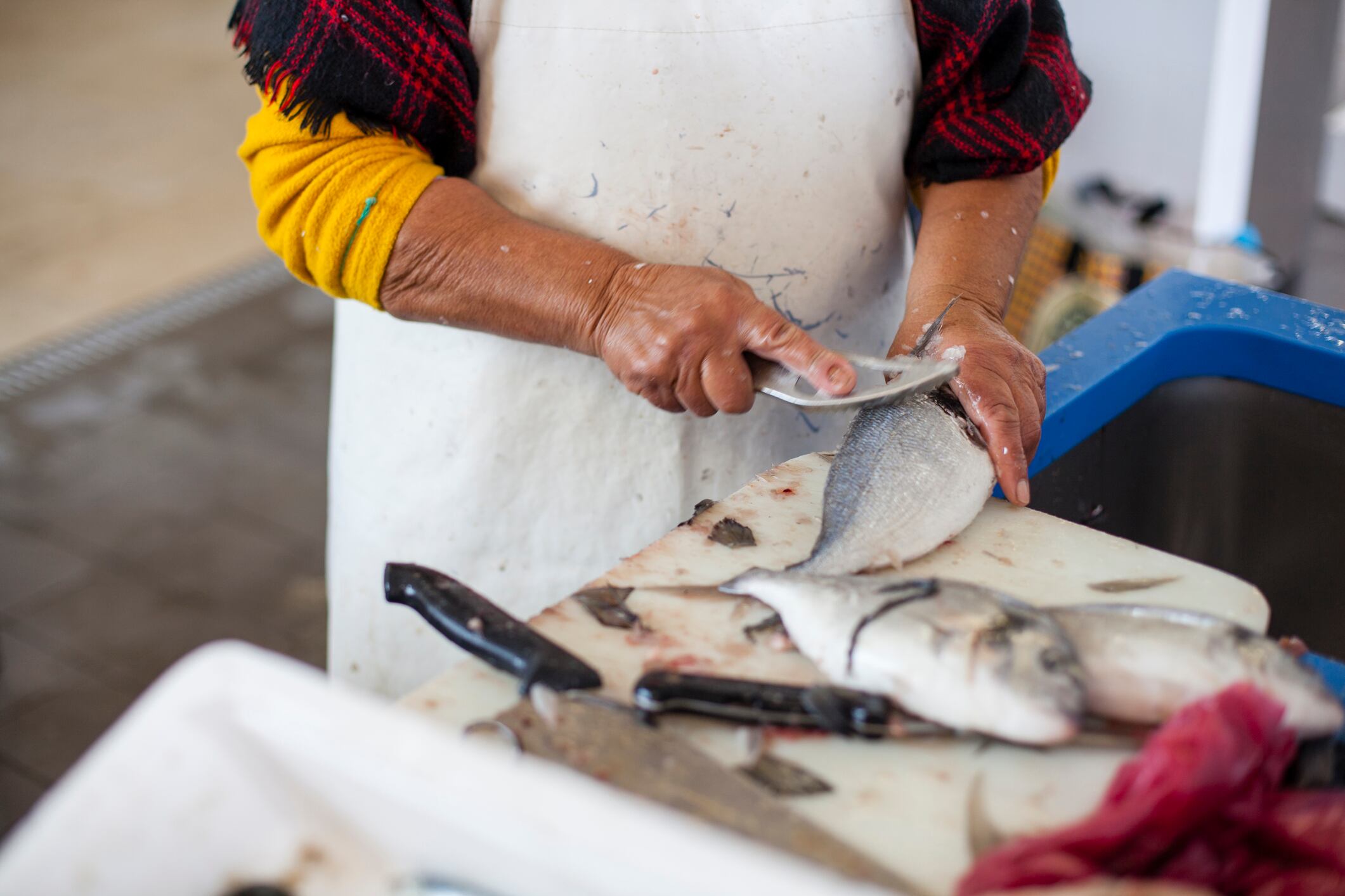 Una mujer sufre la amputación  de un dedo en una pescadería de San Javier(Murcia)