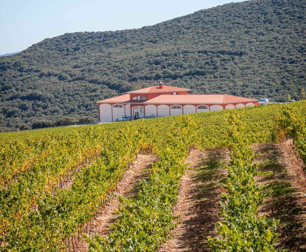 Instalaciones de la bodega El Coto en Oion (Alava)