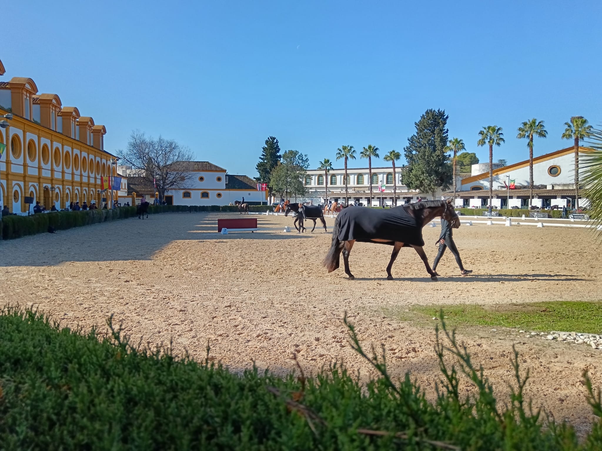 Picadero de entrenamiento de la Real Escuela