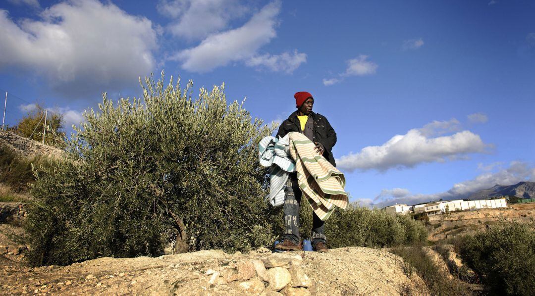 Inmigrantes llegarán, como cada año, a la provincia desde noviembre para la recogida de la aceituna en Jaén 