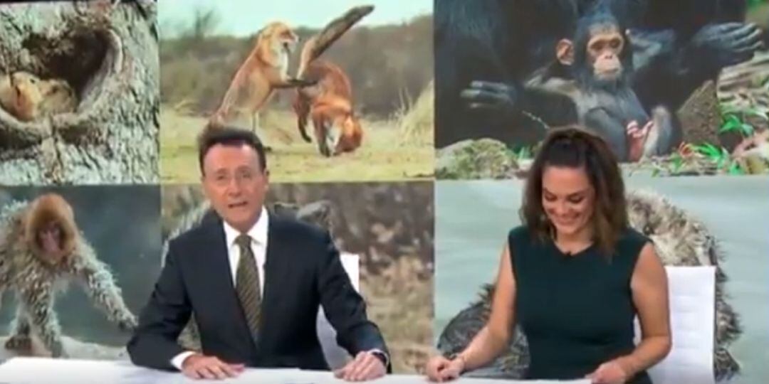 Matías Prats provoca la risa a Mónica Carrillo