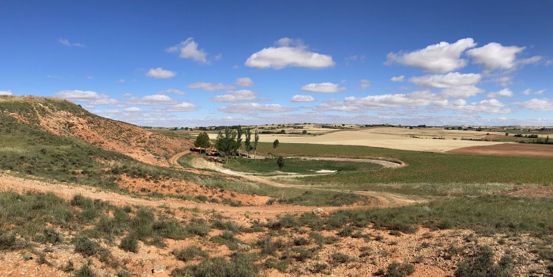 Paraje por el que discurre el sendero PR-CU 122 hasta el pozo Airón de La Almarcha (Cuenca).