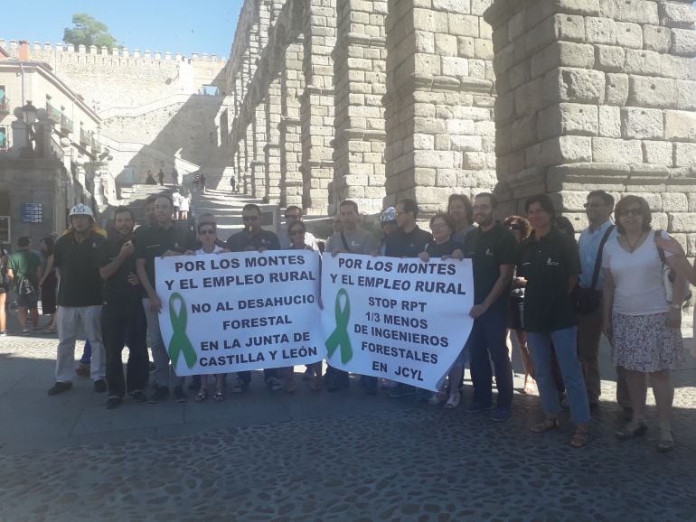 Los ingenieros de Montes e ingenieros Técnicos Forestales protestan por la pérdida de plazas a los pies del Acueducto.