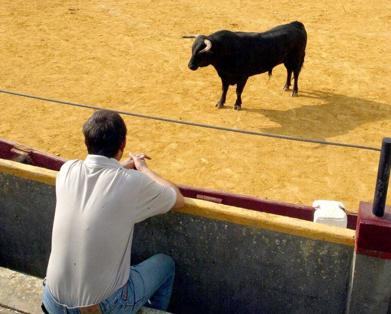 Un espectador observa a un toro en las fiestas de Tudela de Duero
