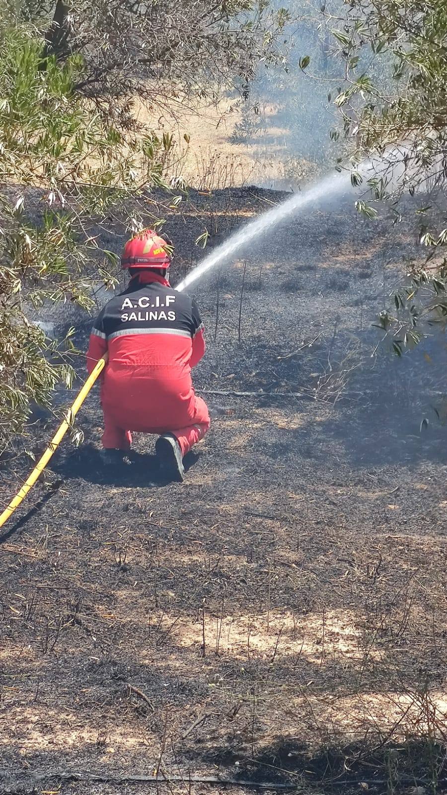 Voluntario ACIF Salinas