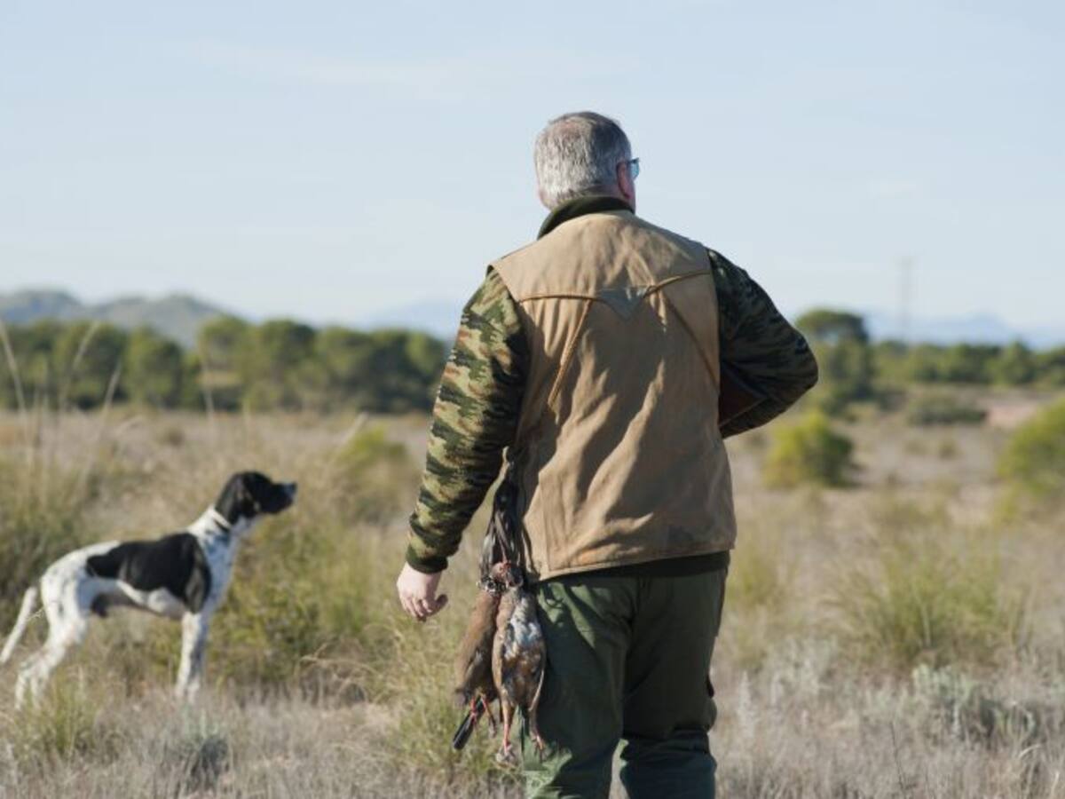 Detenido por matar de un disparo al perro de un vecino