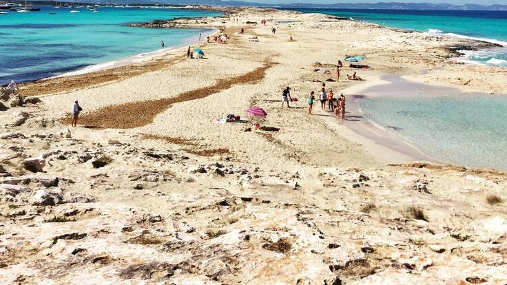 LOS REPORTAJES DEL AÑO