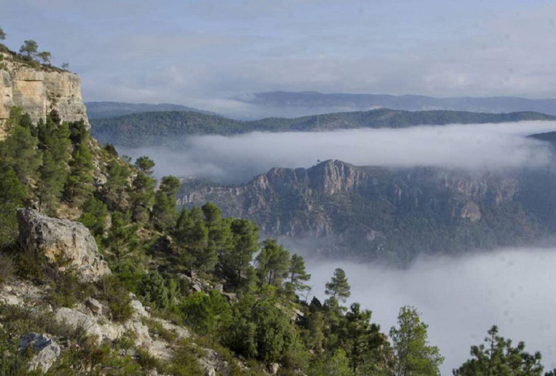 El PPCV advierte del grave riesgo de incendios en los montes valencianos por la falta de gestión forestal