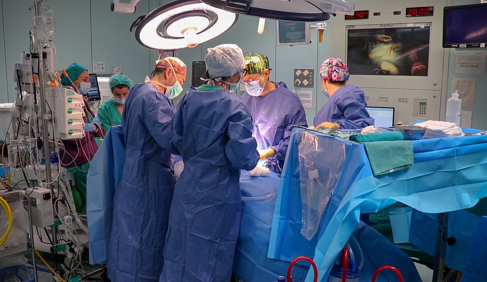 Trasplantes en Hospital La Fe de València