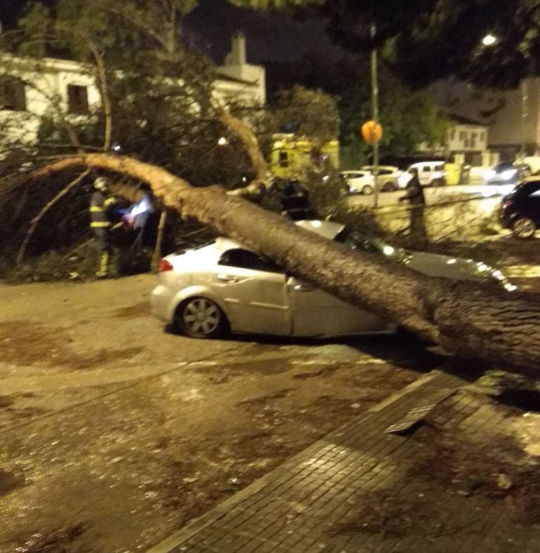 Imagen tomada en la barriada de San Joaquín