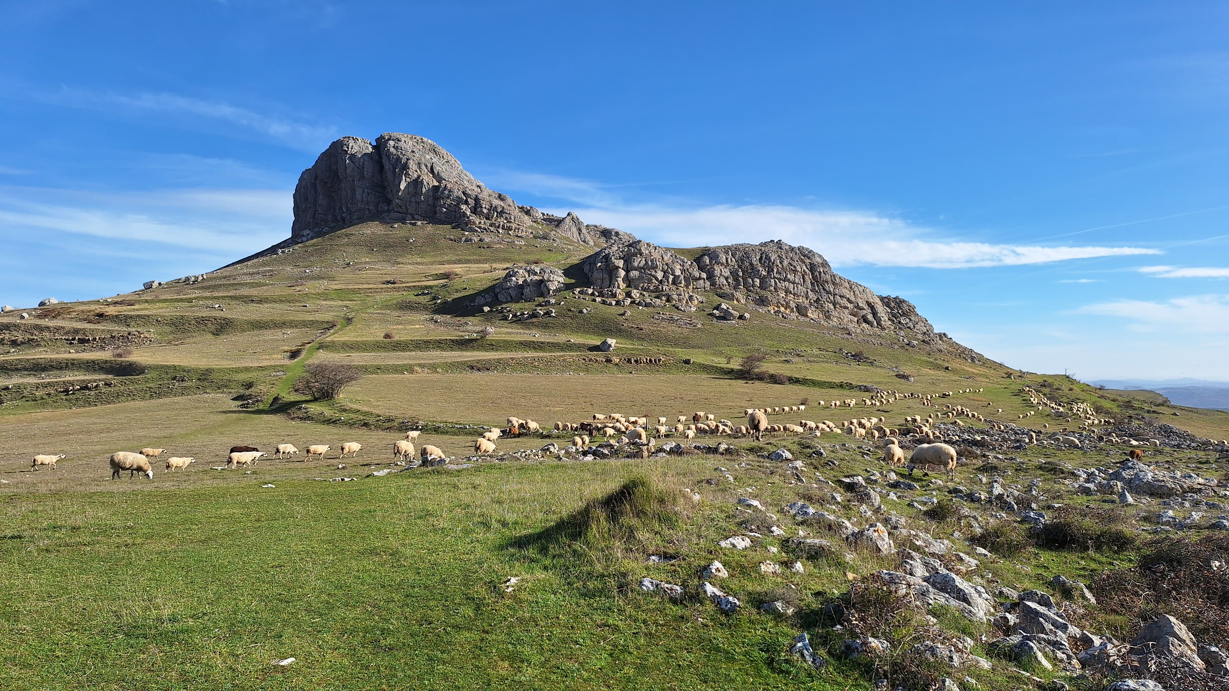 Un estudio pionero revela el valor ambiental de la ganadería extensiva en el Geoparque Las Loras