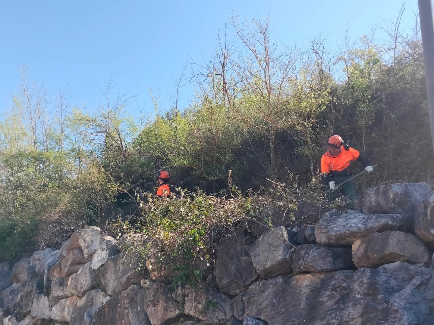 Operarios del Plan Montel en Campo