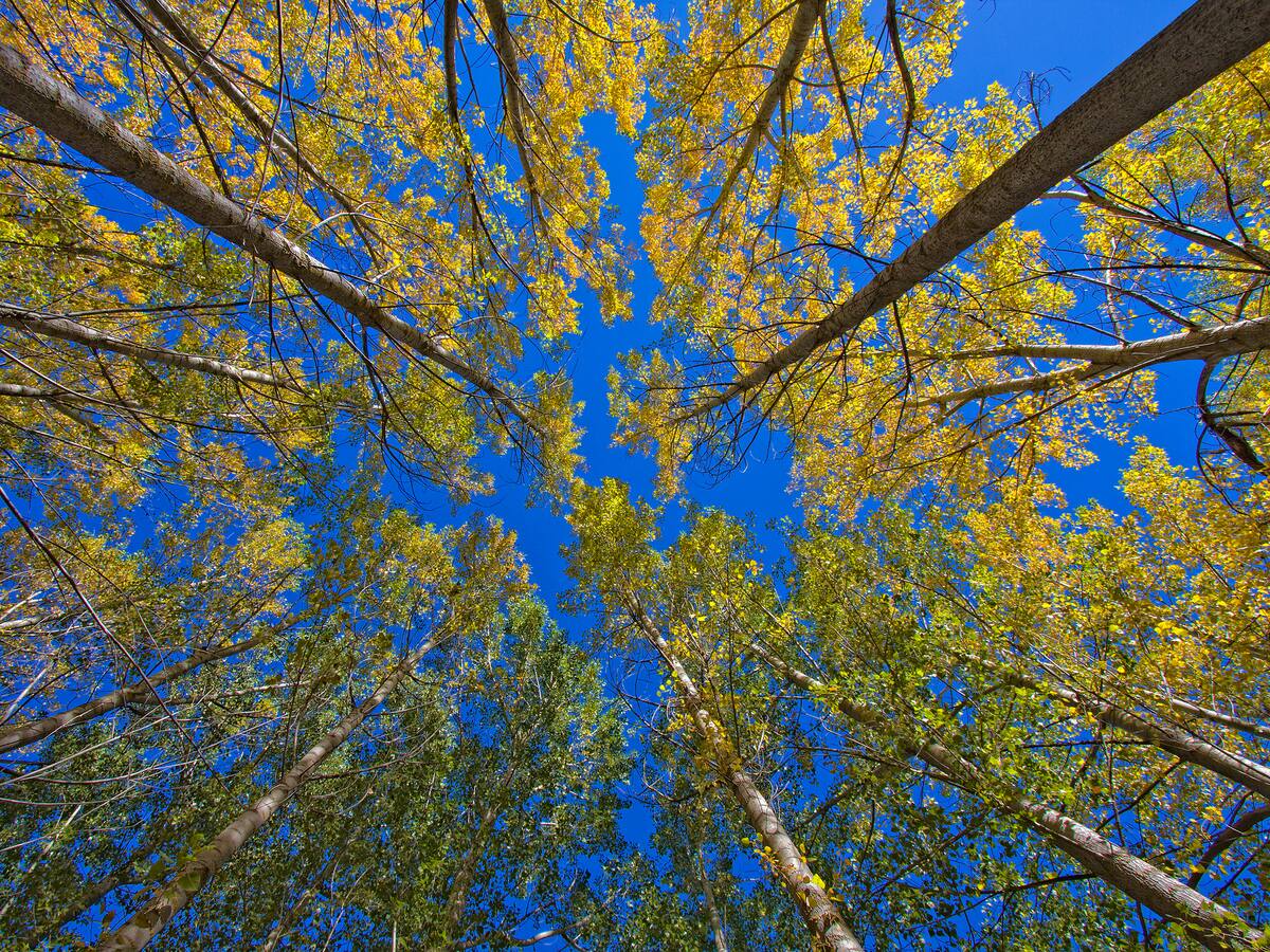 SER Viajeros Comunitat Valenciana (29-10-2022)