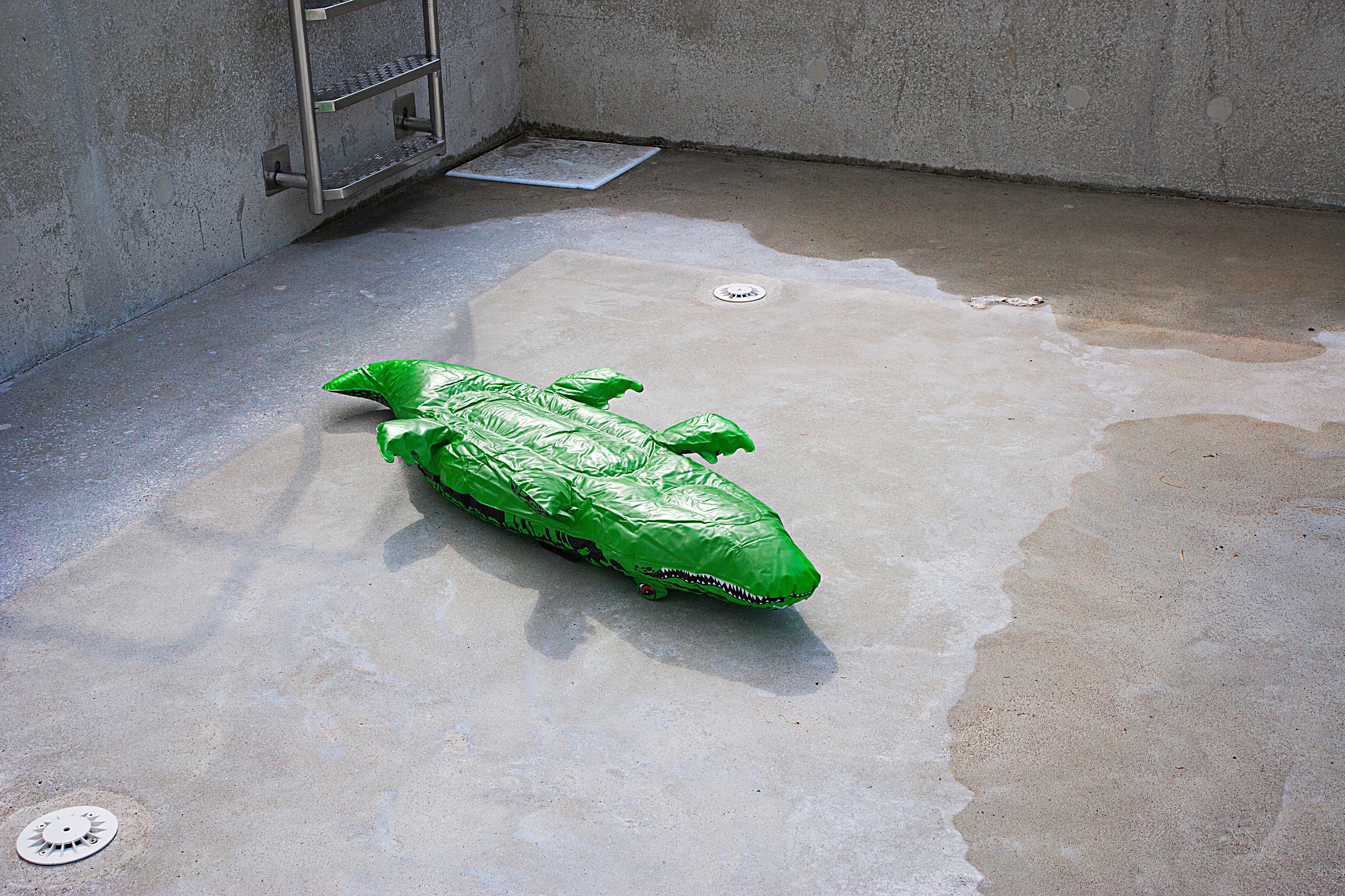 toy animal on its back lying at the bottom of an empty swimming pool.