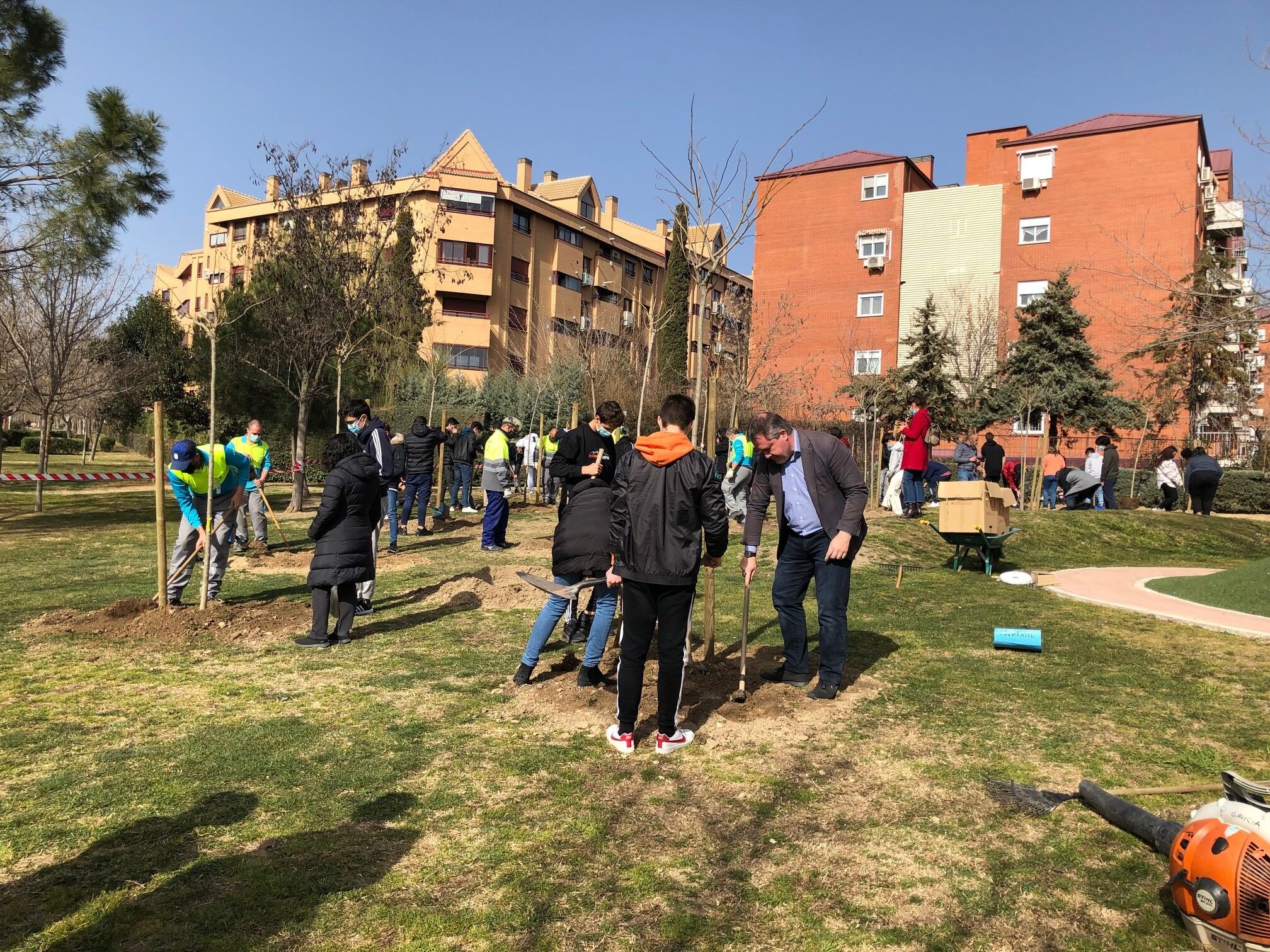 A través de este proyecto, el alumnado colabora con los técnicos de Medio Ambiente, plantando árboles en parques cercanos a sus respectivos centros