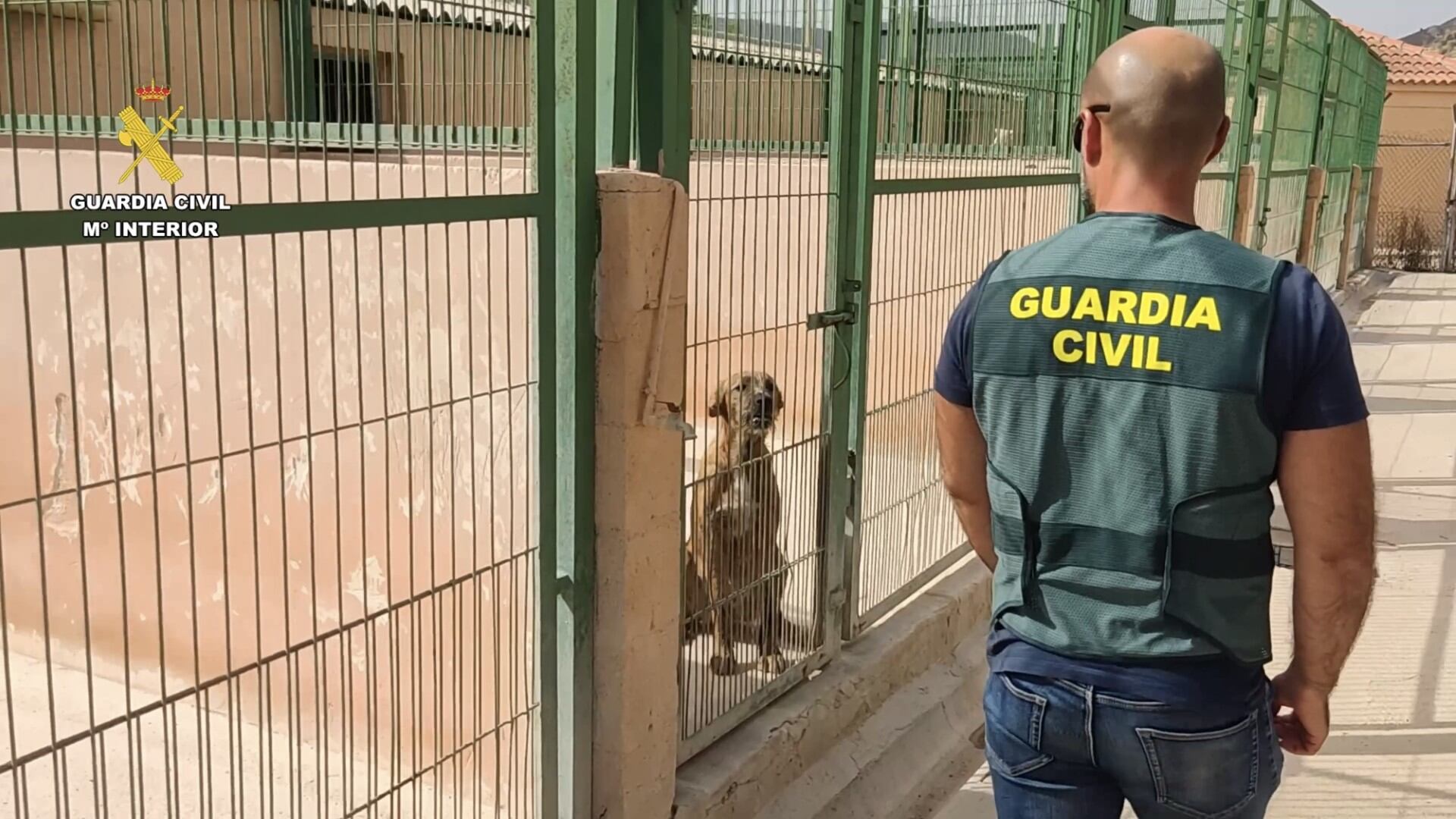 Imágenes de la Guardia Civil de Alicante.
