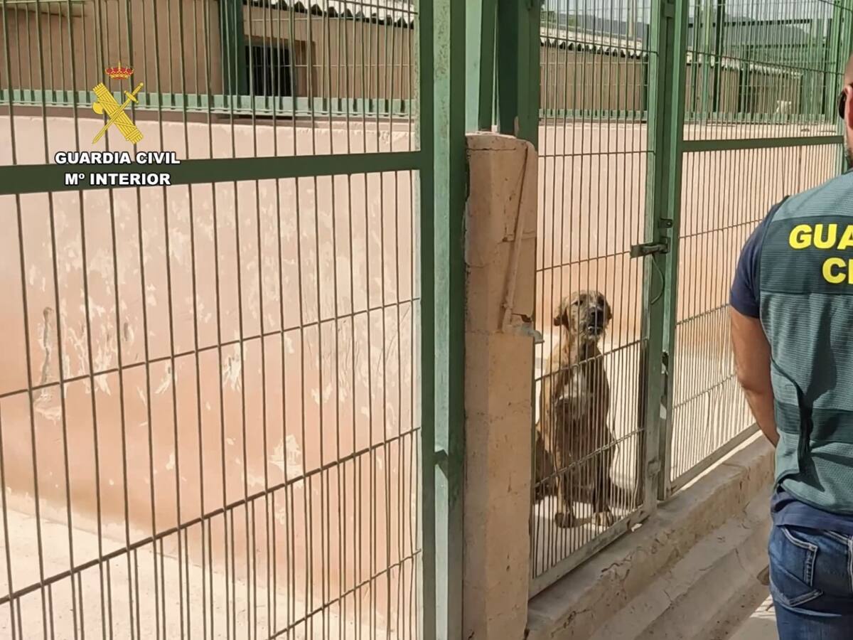 La Guardia Civil detiene a un hombre por estafar a diez dueños de perros robados