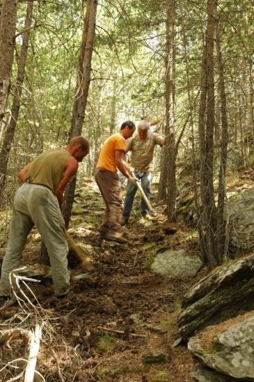 Tres voluntaris treballant en un bosc