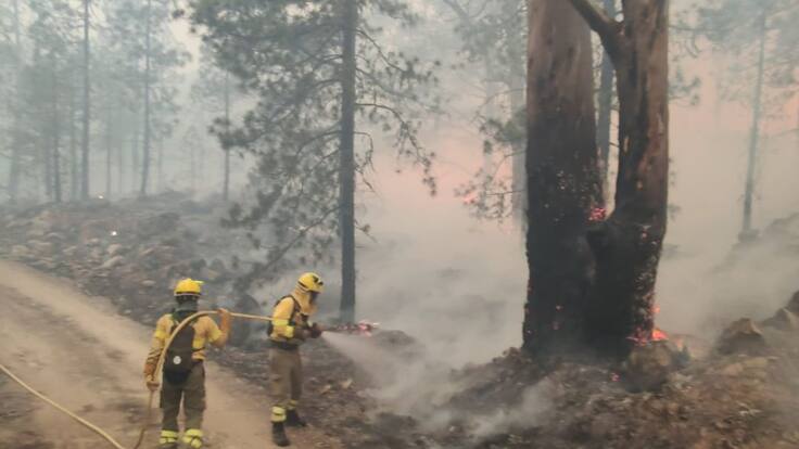 Moisés Sánchez: "Es un daño ecológico importante"