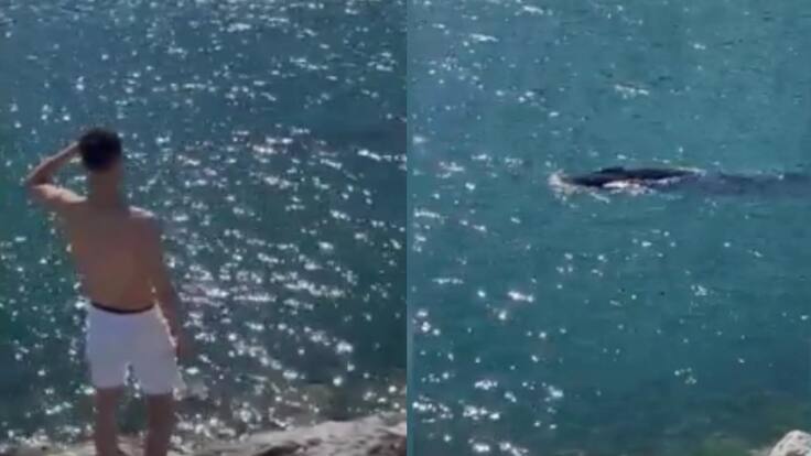 Gorka Ocio, divulgador y responsable de Verballenas