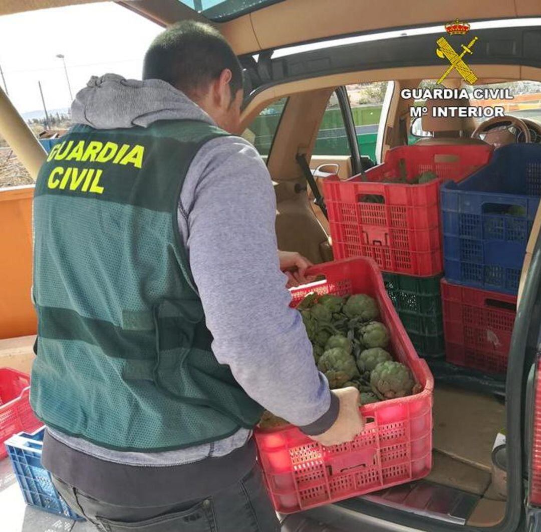 La Guardia Civil decomisando las alcachofas sustraídas