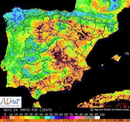 Índice de vegetación a 31 de octubre de 2014.