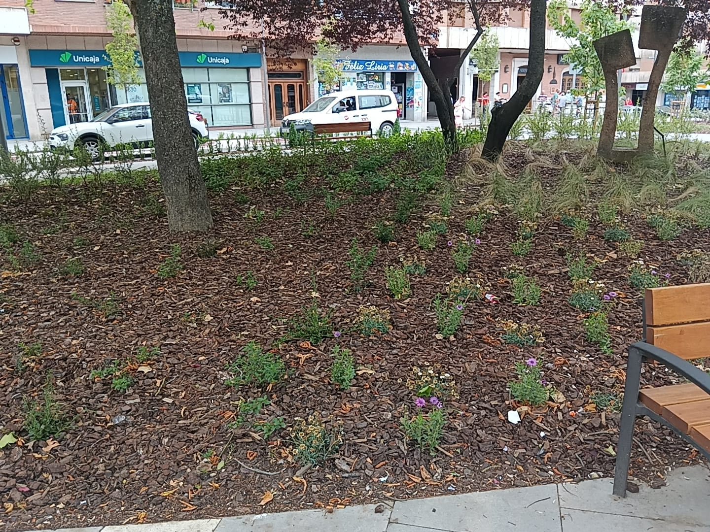 Jardines de Don Diego