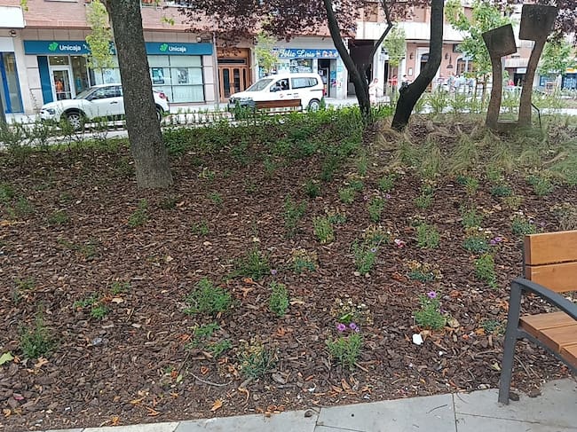 Jardines de Don Diego