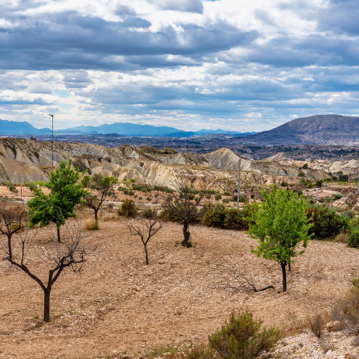 La Región de Murcia se asoma a un escenario de sequía a corto plazo