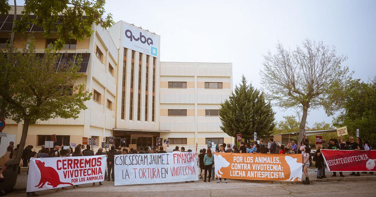 Nueva manifestación reclamando el cierre del laboratorio Vivotecnia de Tres Cantos
