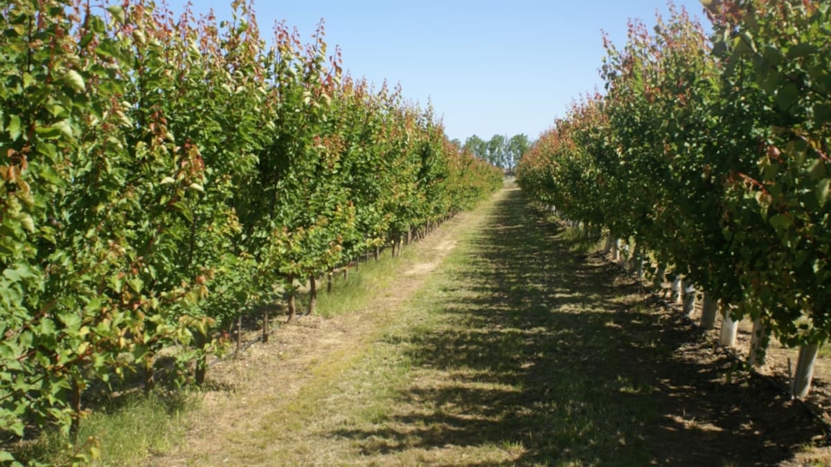 Óscar Moret, secretario de UAGA en Huesca