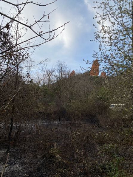 El fuego arrasó una hectárea de terreno 