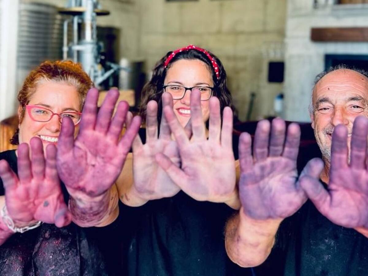 Mélida Wines, mejor restaurante rural de España en 2024