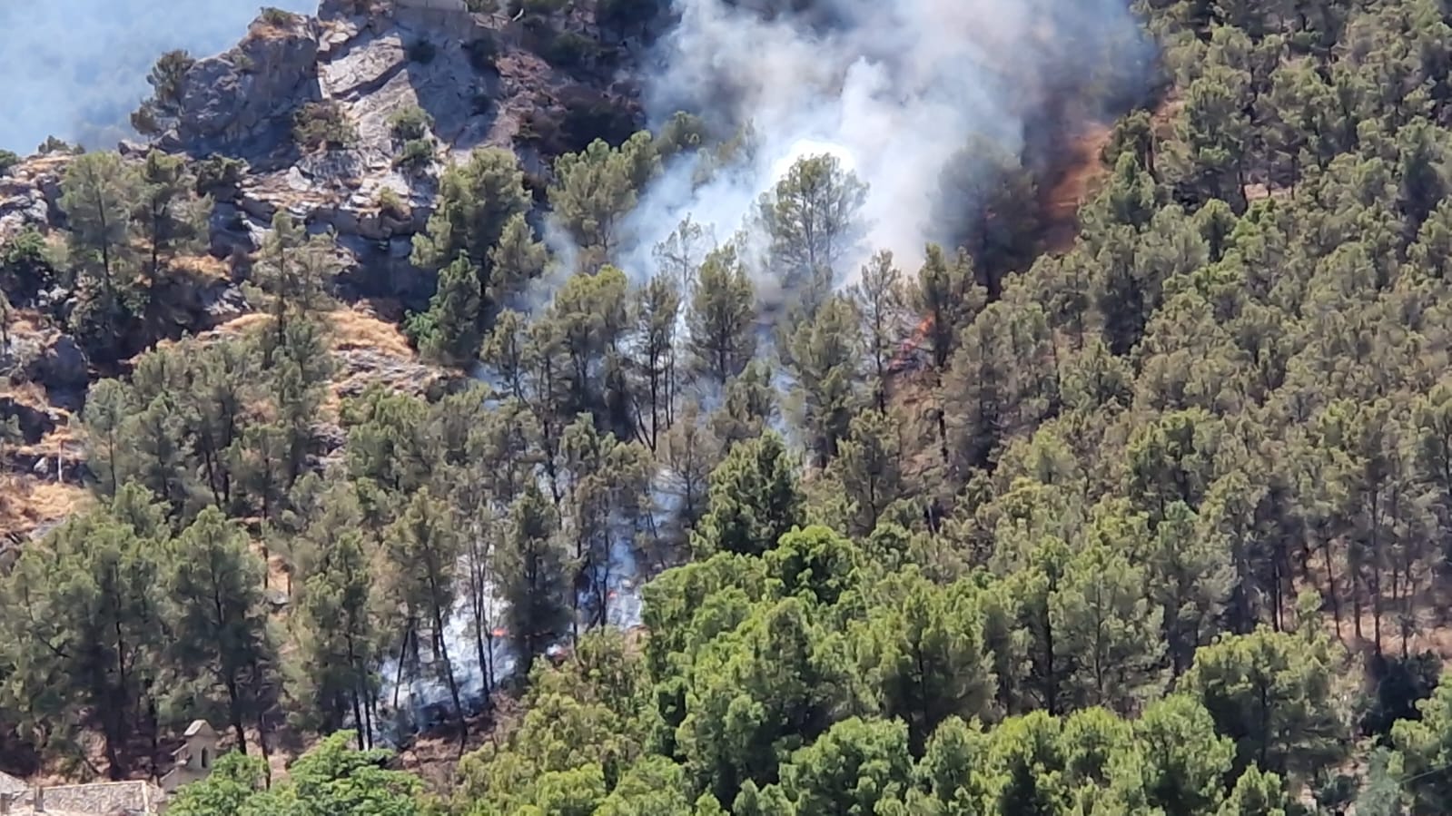 Incendio forestal en el paraje de Cuadros, en Bedmar.