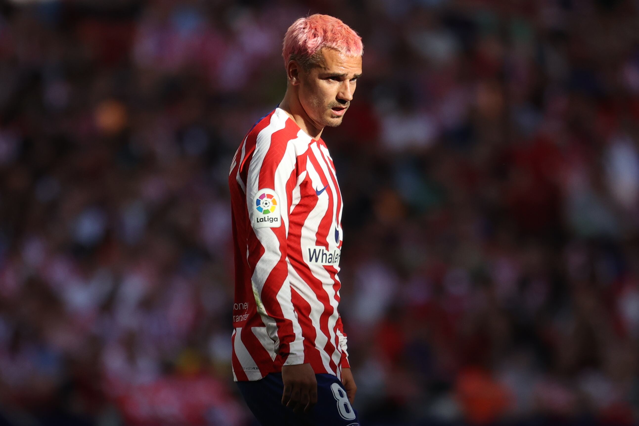 Griezmann volverá a liderar al Atlético de Madrid, esta vez contra el RCD Mallorca.