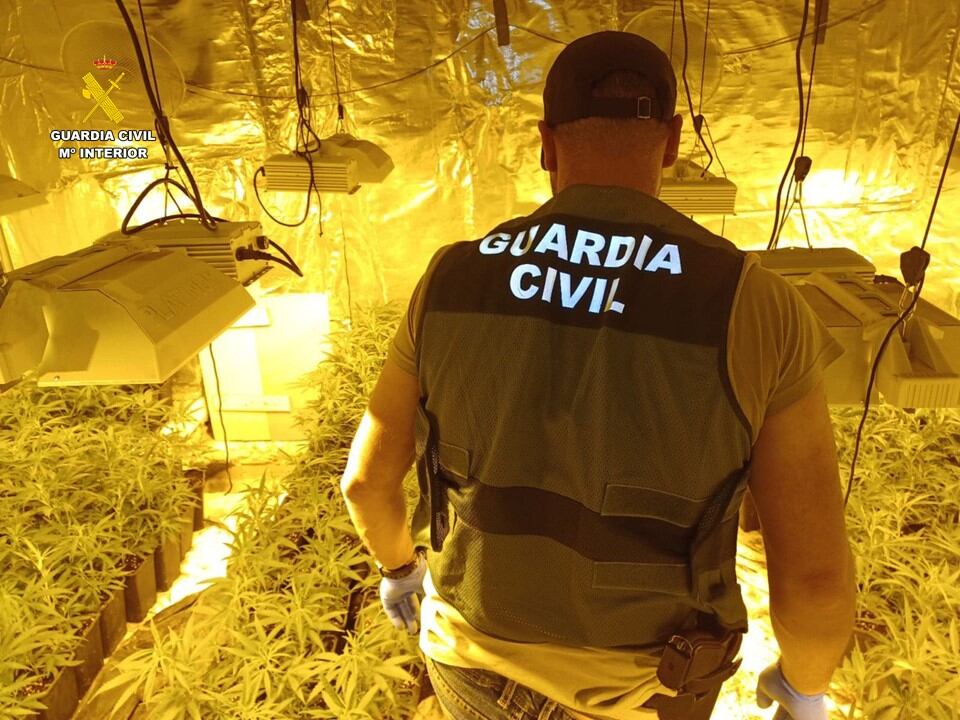 Un agente de la Guardia Civil en el registro de una de las plantaciones de marihuana