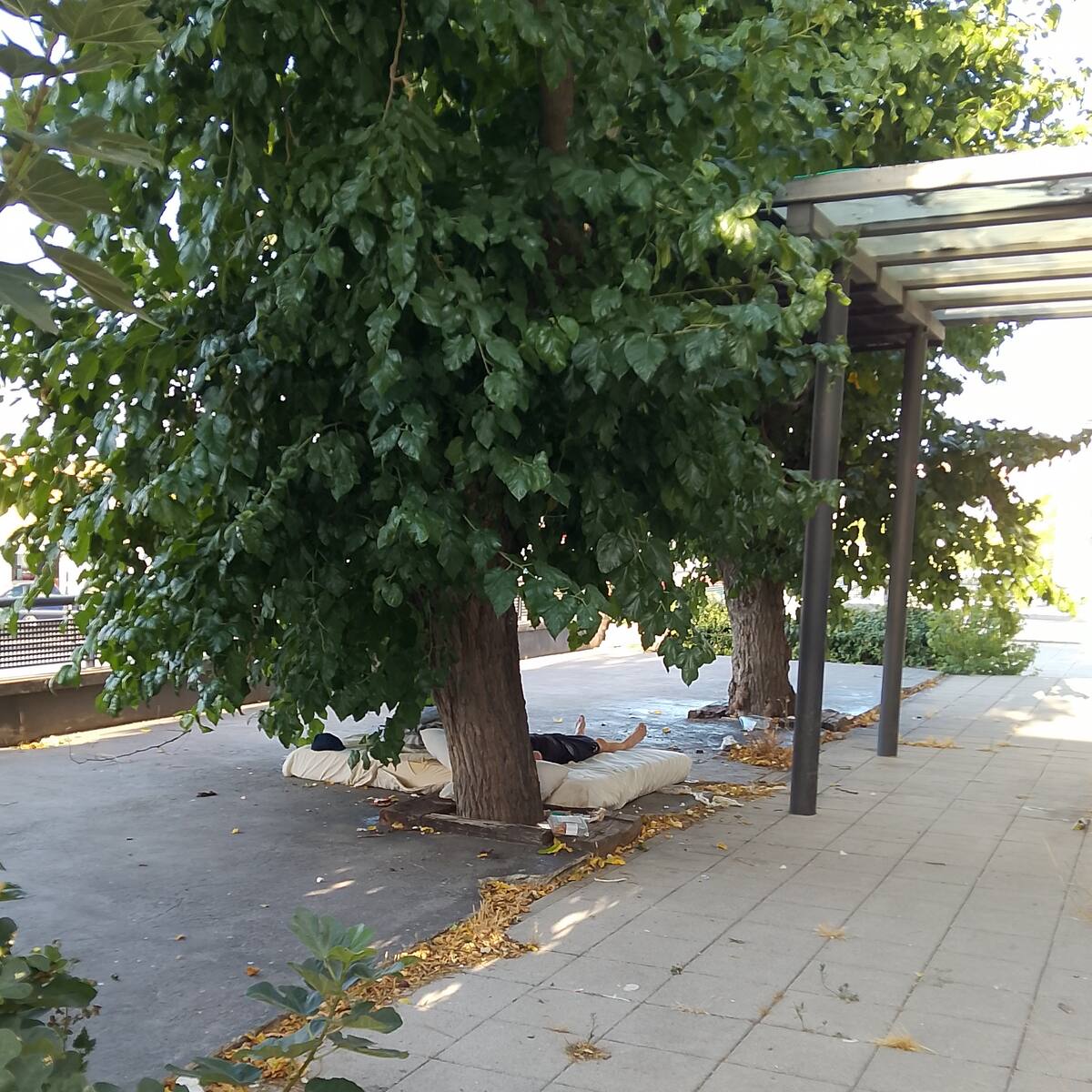 Vecinos denuncian el abandono y ocupación de la antigua estación de tren de Colmenar Viejo